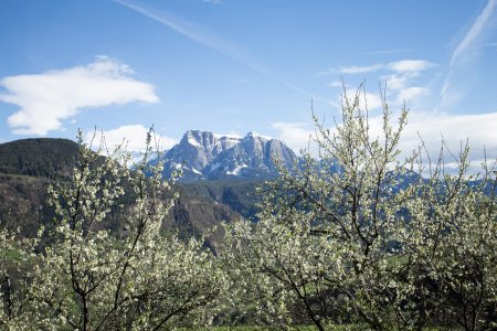 Frühling